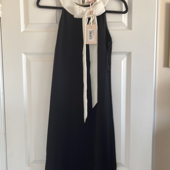 New Ted baker dress - Picture 3 of 7